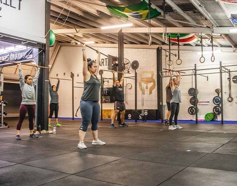 PULL UP RIG & BODY WEIGHT EQUIPMENT