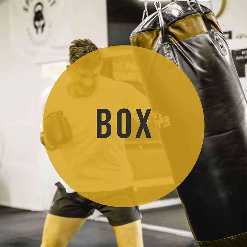 Box Fitness Workout