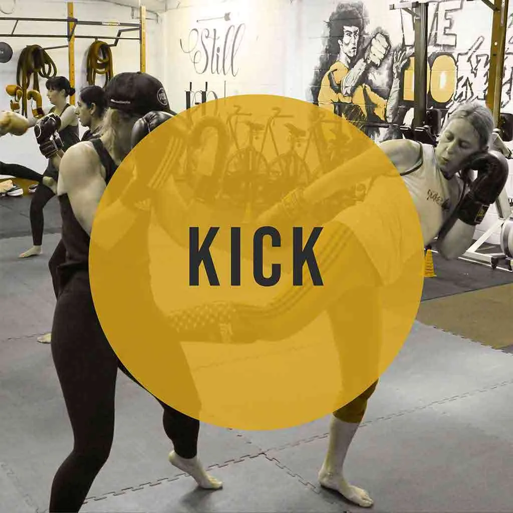 Kick Fitness Workout